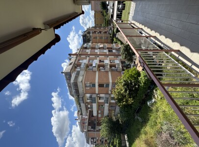 IMG_8546 (2)